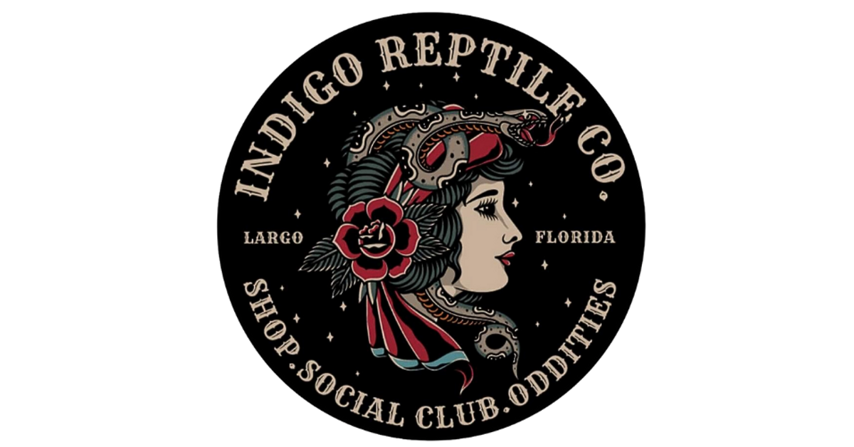 Indigo Reptile Co. photo 1 in Largo
