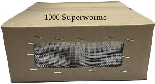 Superworms 1000 ct box - In Store pickup only