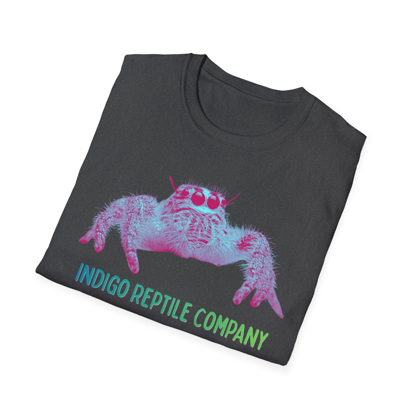 Indigo Reptile Co. - Mono Jumping Spider