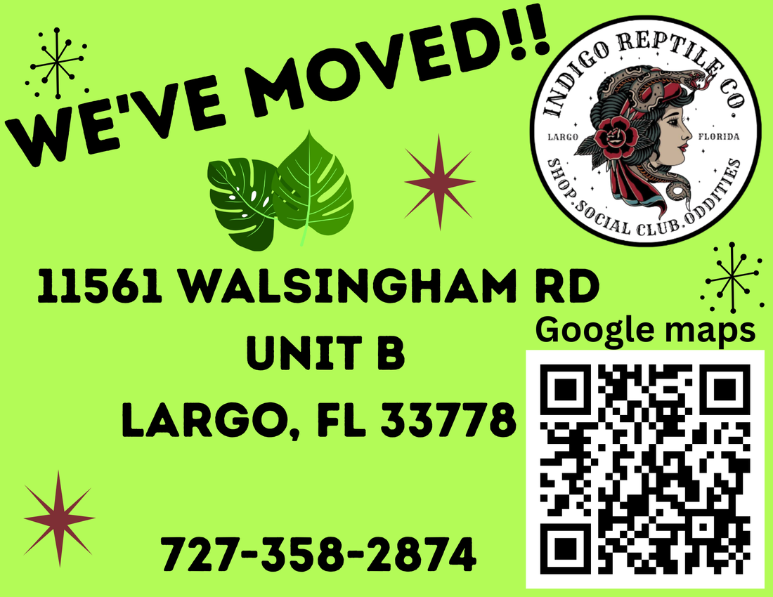 WE'VE MOVED!