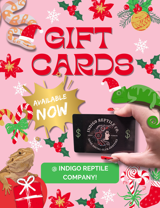 Gift Cards just in time for the holidays!!