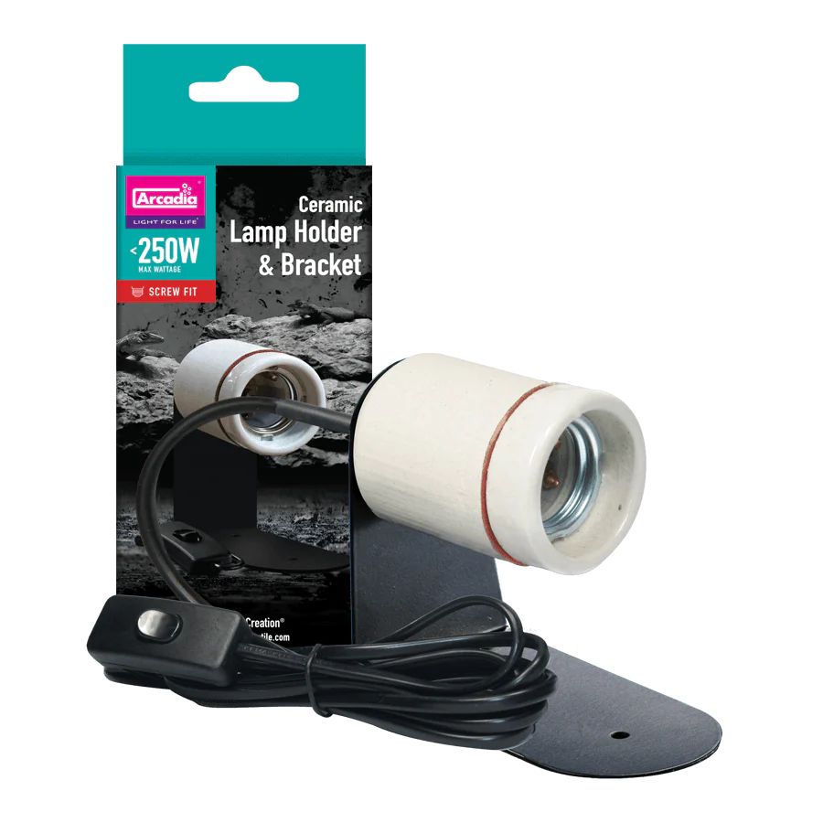 Reptile Heating and Lighting