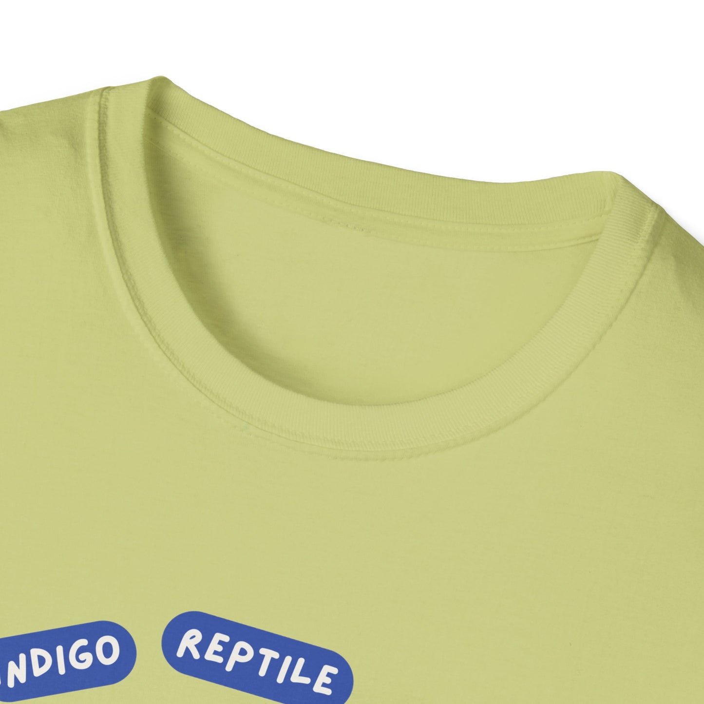 Adult - Unisex Tee - Stay Weird - Tarantula