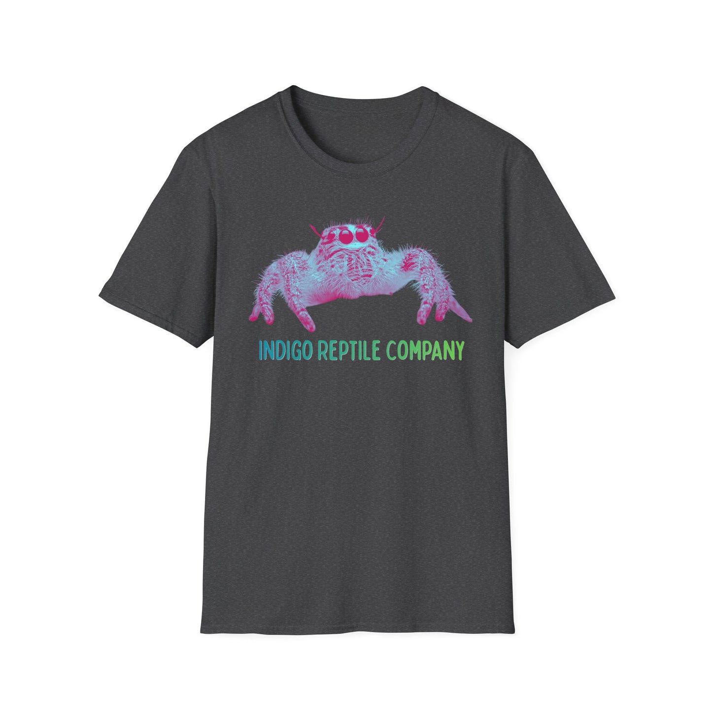 Indigo Reptile Co. - Mono Jumping Spider