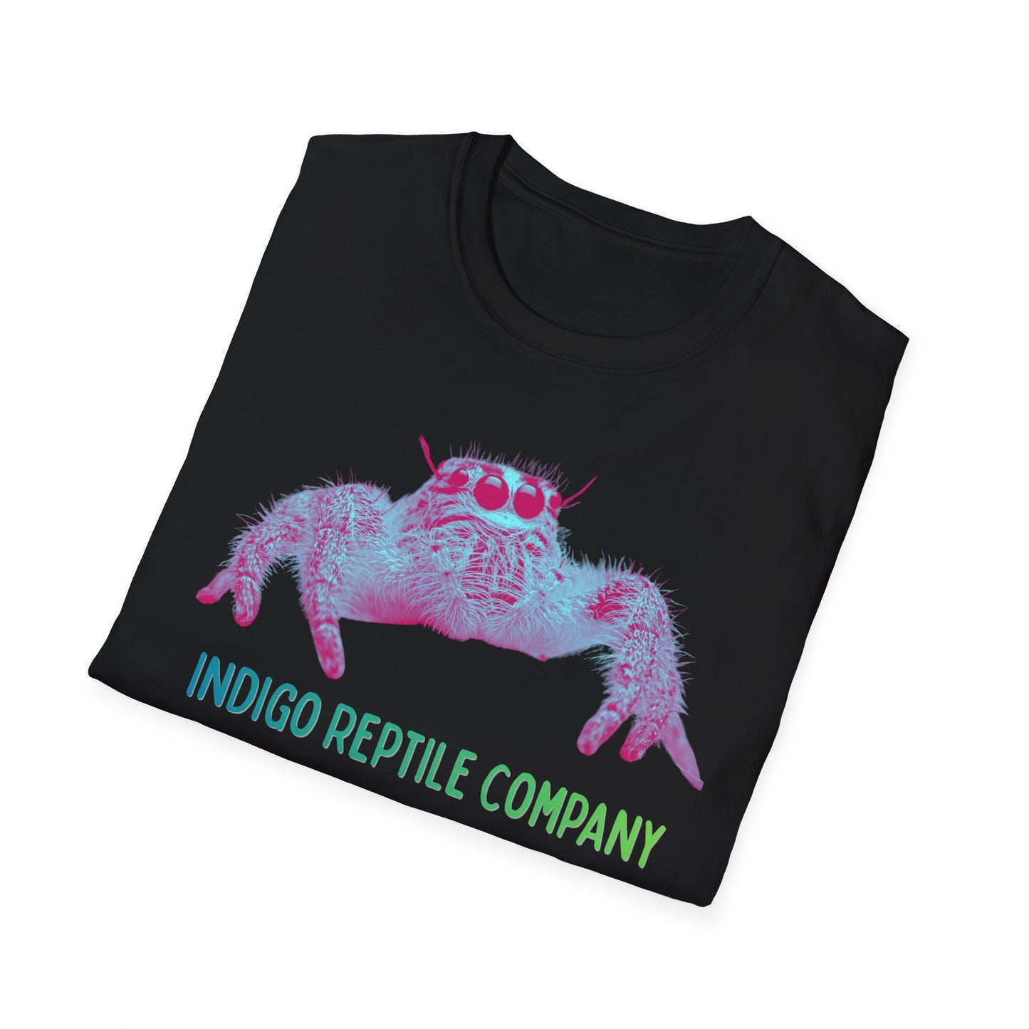 Indigo Reptile Co. - Mono Jumping Spider