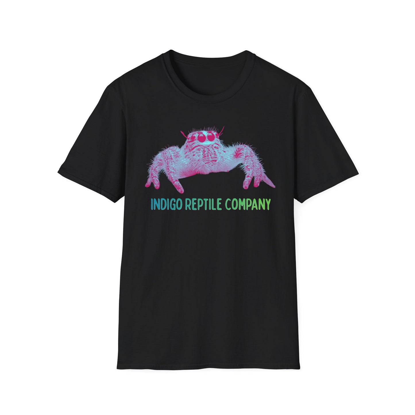 Indigo Reptile Co. - Mono Jumping Spider