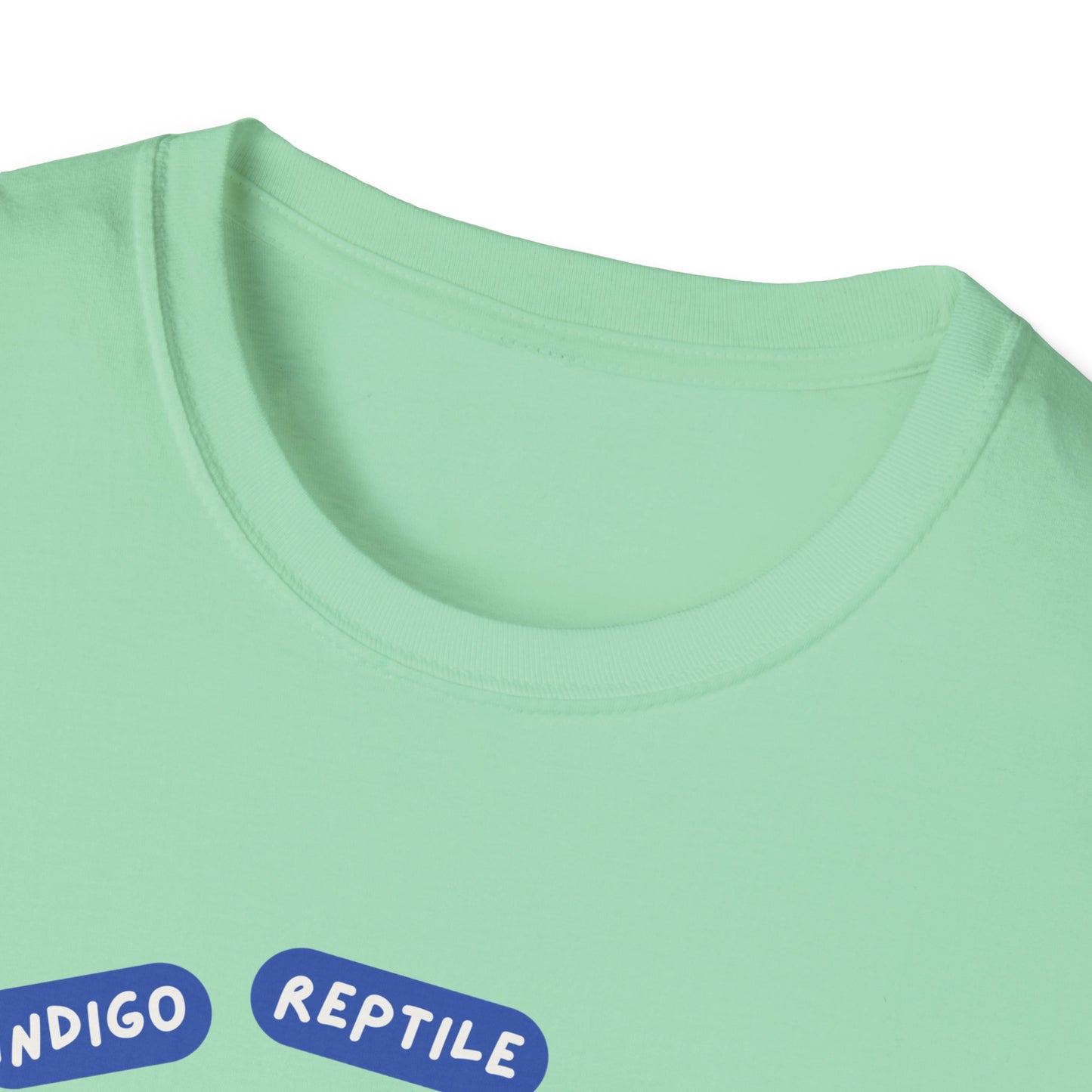 Adult - Unisex Tee - Stay Weird - Tarantula