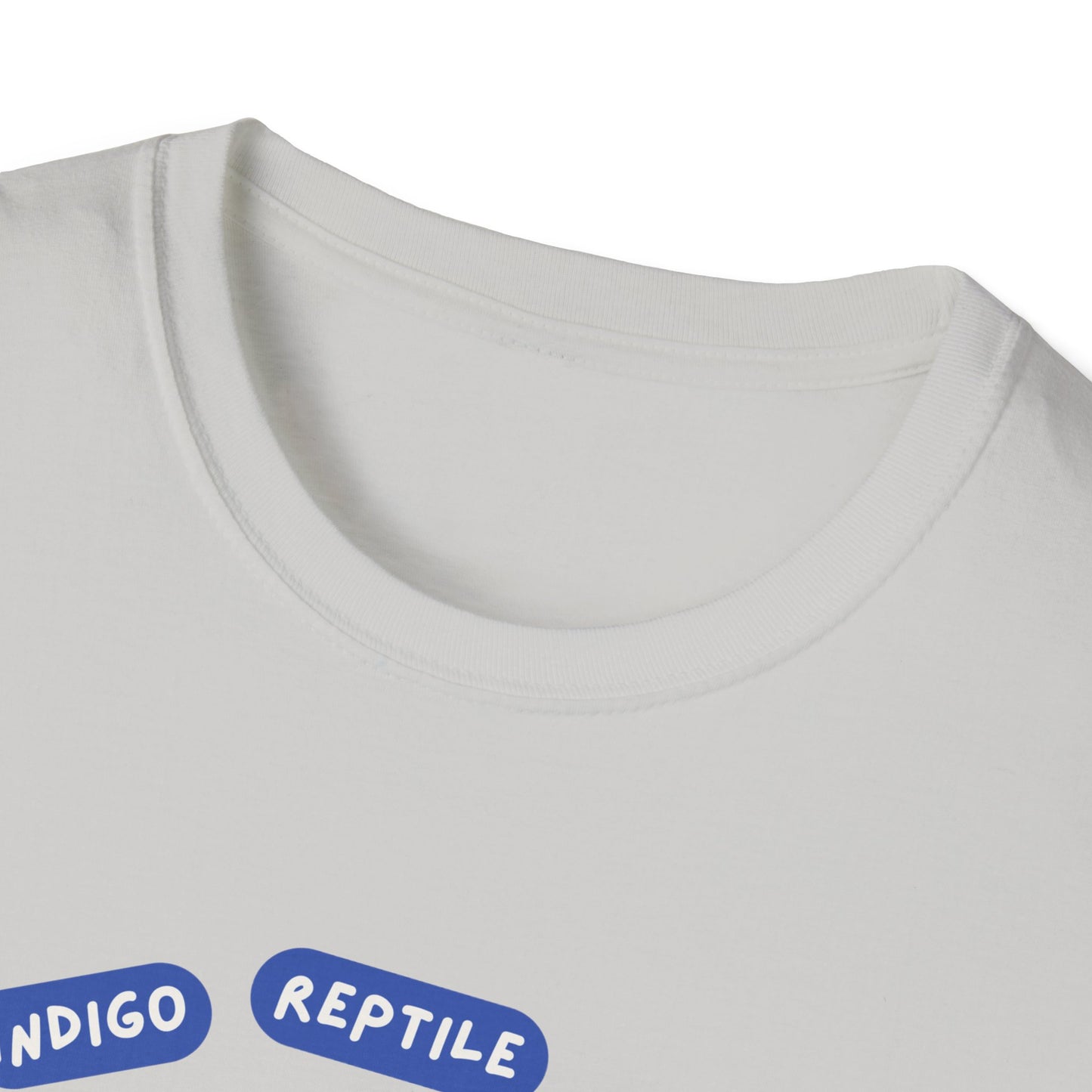 Adult - Unisex Tee - Stay Weird - Tarantula