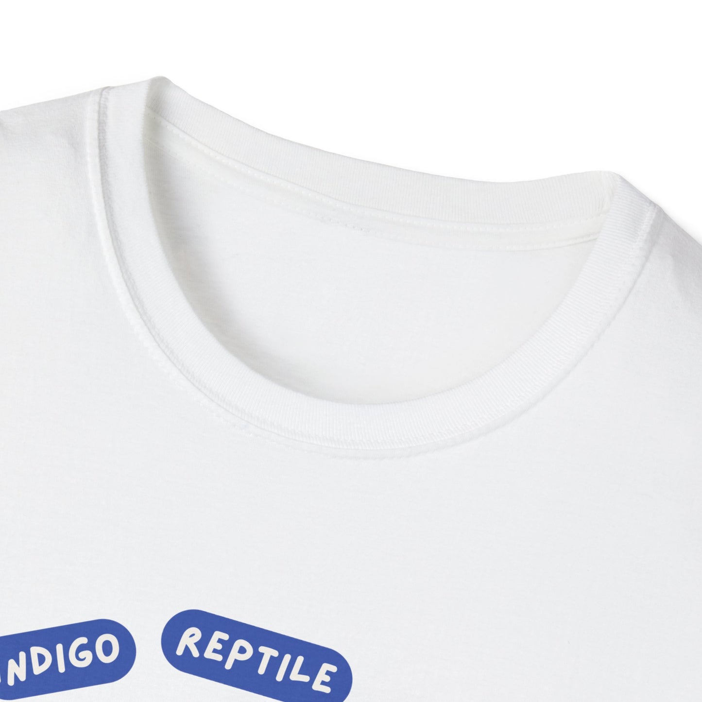 Adult - Unisex Tee - Stay Weird - Tarantula