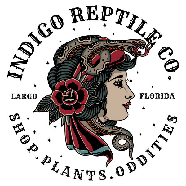 Indigo Reptile Company
